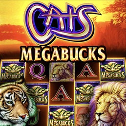 Megabucks Casino- Slots Game by GOSEEN INTERNATIONAL